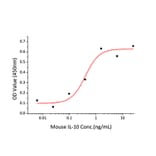 Proliferation Assay - Recombinant Mouse IL-10 Protein (C-terminal His Tag) (A330802) - Antibodies.com