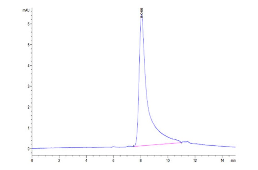 SEC-HPLC - Recombinant Human IL-10 Protein (Biotin) (N-terminal His and Avi Tag) (A330805) - Antibodies.com
