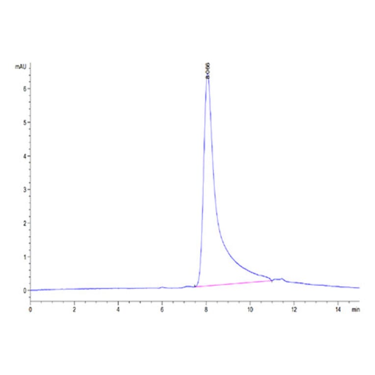 SEC-HPLC - Recombinant Human IL-10 Protein (Biotin) (N-terminal His and Avi Tag) (A330805) - Antibodies.com