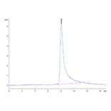 SEC-HPLC - Recombinant Human IL-10 Protein (Biotin) (N-terminal His and Avi Tag) (A330805) - Antibodies.com