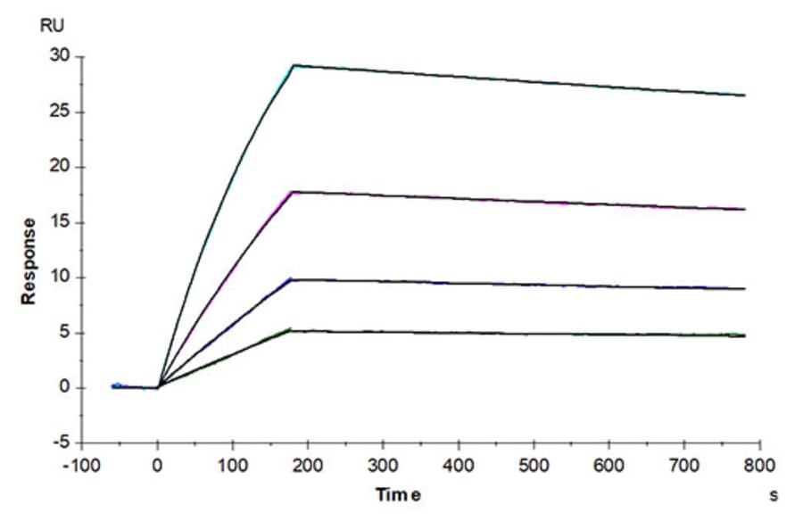 SPR Assay - Recombinant Human IL-10 Protein (Biotin) (N-terminal His and Avi Tag) (A330805) - Antibodies.com