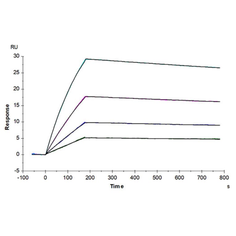 SPR Assay - Recombinant Human IL-10 Protein (Biotin) (N-terminal His and Avi Tag) (A330805) - Antibodies.com
