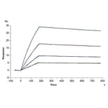 SPR Assay - Recombinant Human IL-10 Protein (Biotin) (N-terminal His and Avi Tag) (A330805) - Antibodies.com