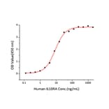 Standard Curve - Recombinant Human IL10RA Protein (C-terminal Human Fc Tag) (A330806) - Antibodies.com