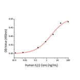 Proliferation Assay - Recombinant Human IL-11 Protein (A330809) - Antibodies.com