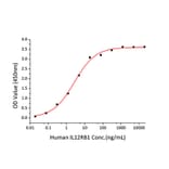 Standard Curve - Recombinant Human IL-12B Protein (C-terminal His Tag) (A330810) - Antibodies.com