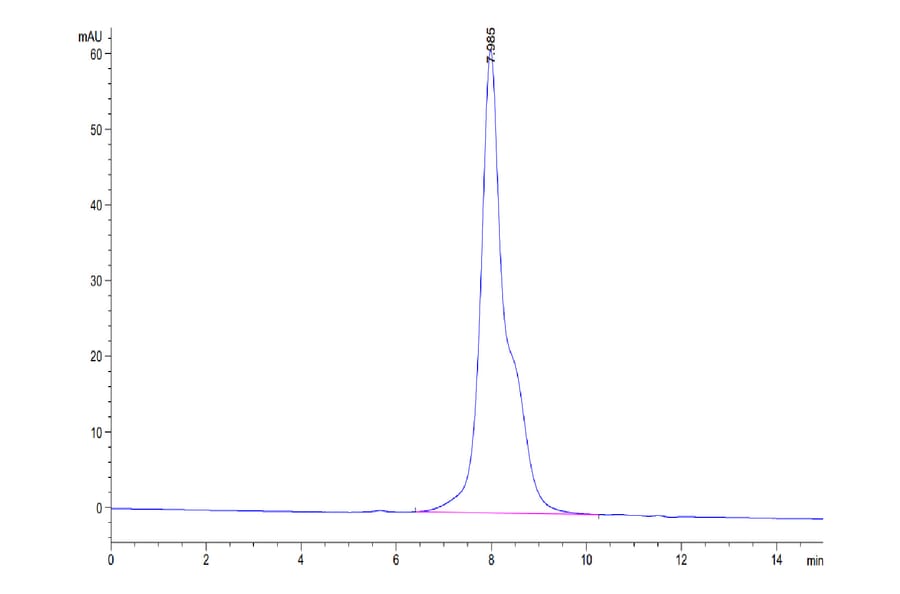 SEC-HPLC - Recombinant Human IL-12RB1 Protein (C-terminal His Tag) (A330812) - Antibodies.com