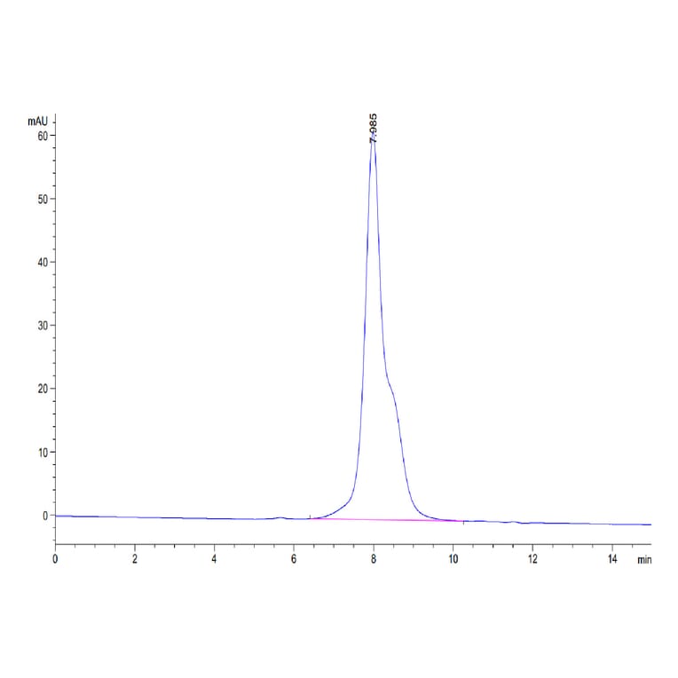 SEC-HPLC - Recombinant Human IL-12RB1 Protein (C-terminal His Tag) (A330812) - Antibodies.com