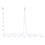 SEC-HPLC - Recombinant Human IL-12RB1 Protein (C-terminal His Tag) (A330812) - Antibodies.com