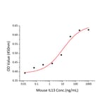 Proliferation Assay - Recombinant Mouse IL-13 Protein (C-terminal His Tag) (A330814) - Antibodies.com