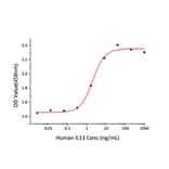 Proliferation Assay - Recombinant Human IL-13 Protein (C-terminal His Tag) (A330815) - Antibodies.com