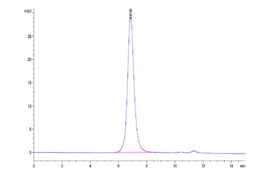 SEC-HPLC - Recombinant Human IL-13 Receptor alpha 1 Protein (Biotin) (C-terminal His and Avi Tag) (A330818) - Antibodies.com