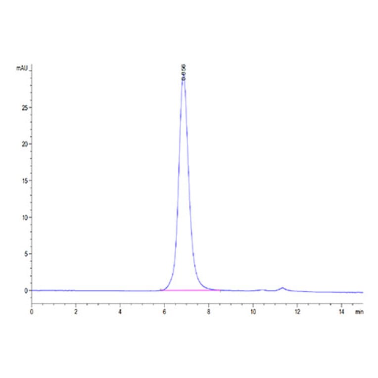 SEC-HPLC - Recombinant Human IL-13 Receptor alpha 1 Protein (Biotin) (C-terminal His and Avi Tag) (A330818) - Antibodies.com
