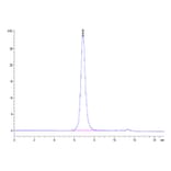 SEC-HPLC - Recombinant Human IL-13 Receptor alpha 1 Protein (Biotin) (C-terminal His and Avi Tag) (A330818) - Antibodies.com