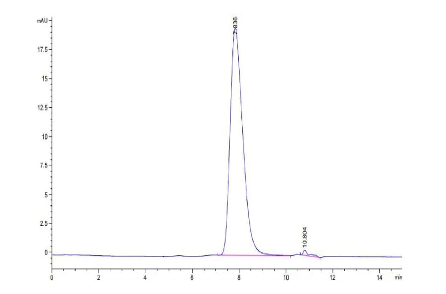 SEC-HPLC - Recombinant Human IL-15RA Protein (Biotin) (C-terminal His and Avi Tag) (A330823) - Antibodies.com