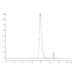 SEC-HPLC - Recombinant Human IL-15RA Protein (Biotin) (C-terminal His and Avi Tag) (A330823) - Antibodies.com
