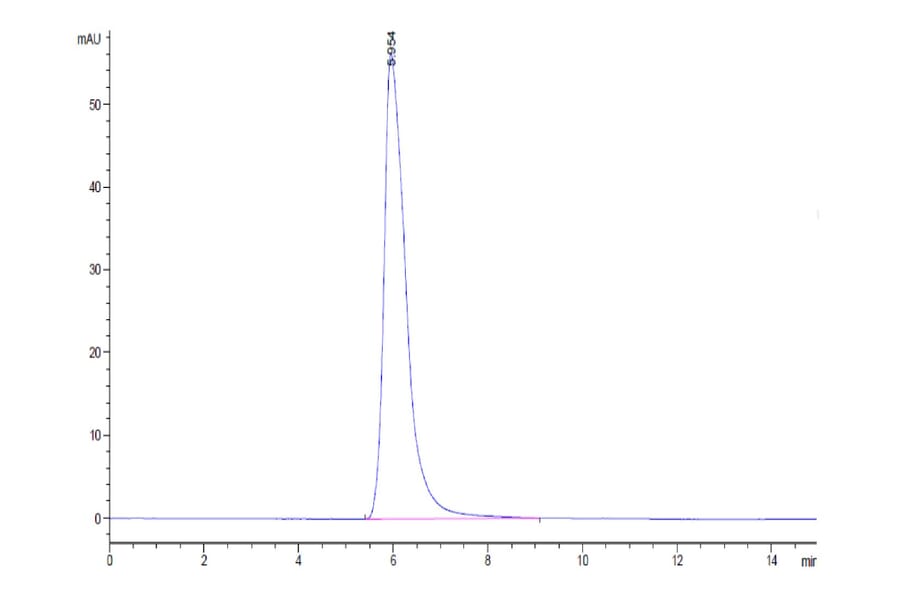 SEC-HPLC - Recombinant Human IL-15RA Protein (C-terminal Human Fc Tag) (A330825) - Antibodies.com