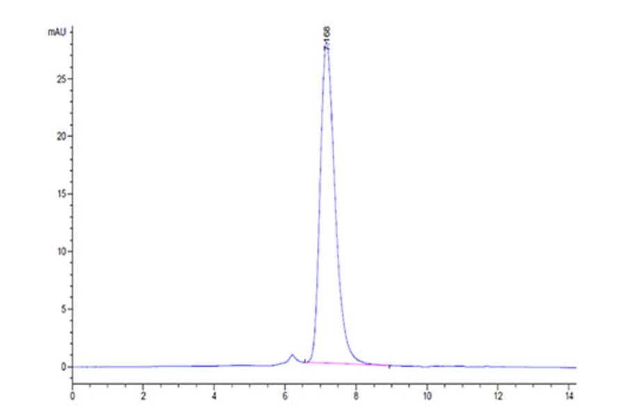 SEC-HPLC - Recombinant Human IL-17RA Receptor Protein (Biotin) (C-terminal His and Avi Tag) (A330834) - Antibodies.com