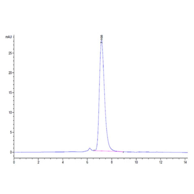 SEC-HPLC - Recombinant Human IL-17RA Receptor Protein (Biotin) (C-terminal His and Avi Tag) (A330834) - Antibodies.com