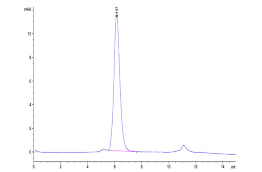 SEC-HPLC - Recombinant Human IL-17RA Receptor Protein (Biotin) (C-terminal Human Fc and Avi Tag) (A330835) - Antibodies.com