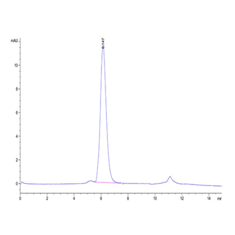 SEC-HPLC - Recombinant Human IL-17RA Receptor Protein (Biotin) (C-terminal Human Fc and Avi Tag) (A330835) - Antibodies.com