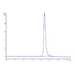 SEC-HPLC - Recombinant Human IL-17RB Protein (C-terminal His Tag) (A330836) - Antibodies.com