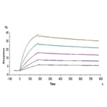 SPR Assay - Recombinant Human IL-17RB Protein (C-terminal His Tag) (A330836) - Antibodies.com