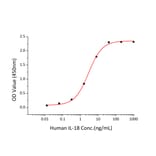 Standard Curve - Recombinant Human IL-18 Protein (A330840) - Antibodies.com