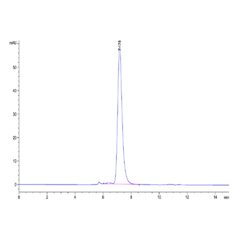 SEC-HPLC - Recombinant Human IL-1RAcP Protein (Biotin) (C-terminal His and Avi Tag) (A330852) - Antibodies.com