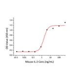 Proliferation Assay - Recombinant Mouse IL-2 Protein (C-terminal His Tag) (A330855) - Antibodies.com