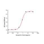 Proliferation Assay - Recombinant Human IL-2 Protein (C-terminal His Tag) (A330857) - Antibodies.com