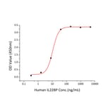 Standard Curve - Recombinant Human IL-22RA2 Protein (C-terminal His Tag) (A330871) - Antibodies.com
