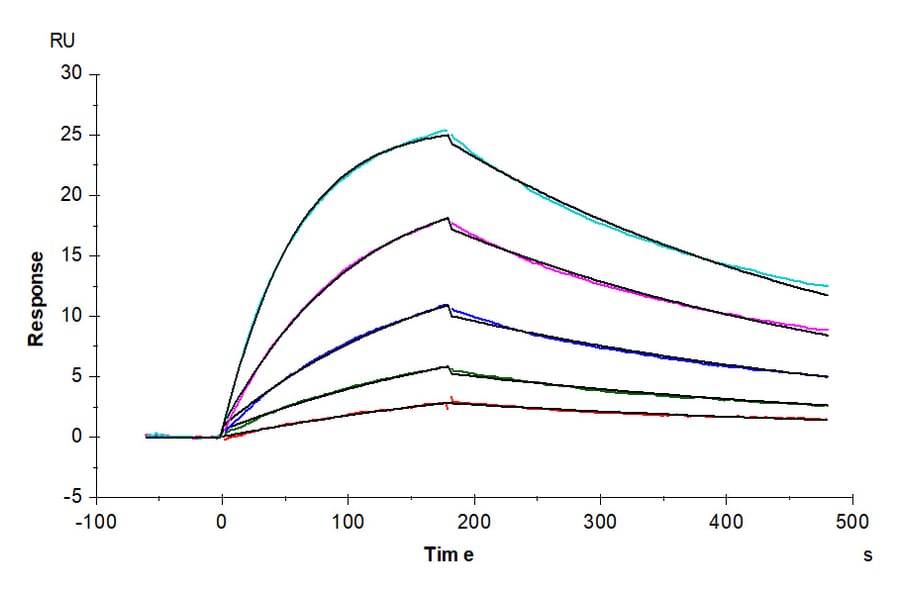SPR Assay - Recombinant Human IL-27-A + EBI3 Protein (N-terminal His and NO Tag) (A330876) - Antibodies.com