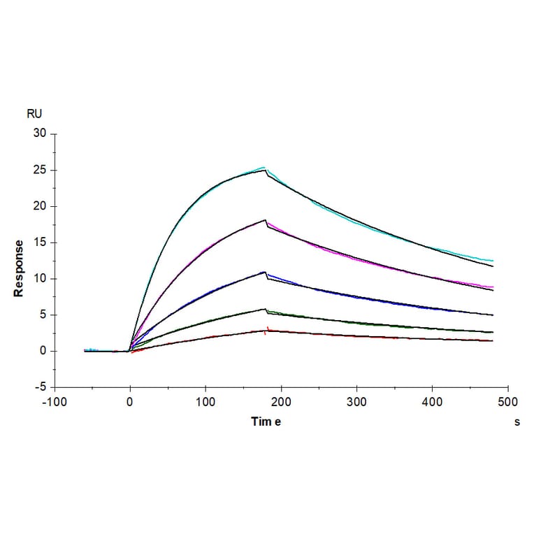 SPR Assay - Recombinant Human IL-27-A + EBI3 Protein (N-terminal His and NO Tag) (A330876) - Antibodies.com