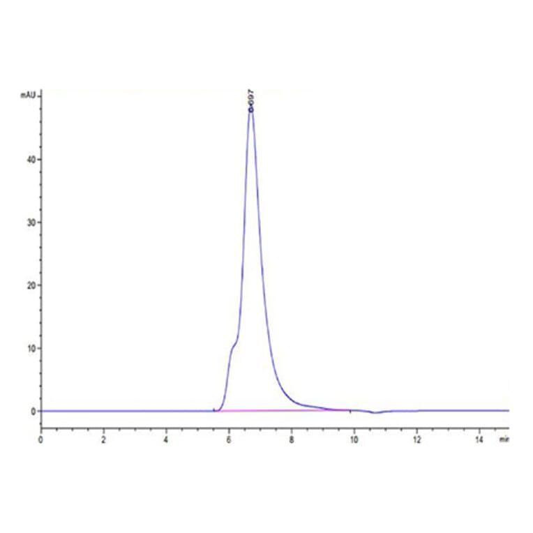 SEC-HPLC - Recombinant Human IL-2RG Protein (Biotin) (C-terminal His and Avi Tag) (A330882) - Antibodies.com