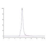 SEC-HPLC - Recombinant Human IL-2RG Protein (Biotin) (C-terminal His and Avi Tag) (A330882) - Antibodies.com