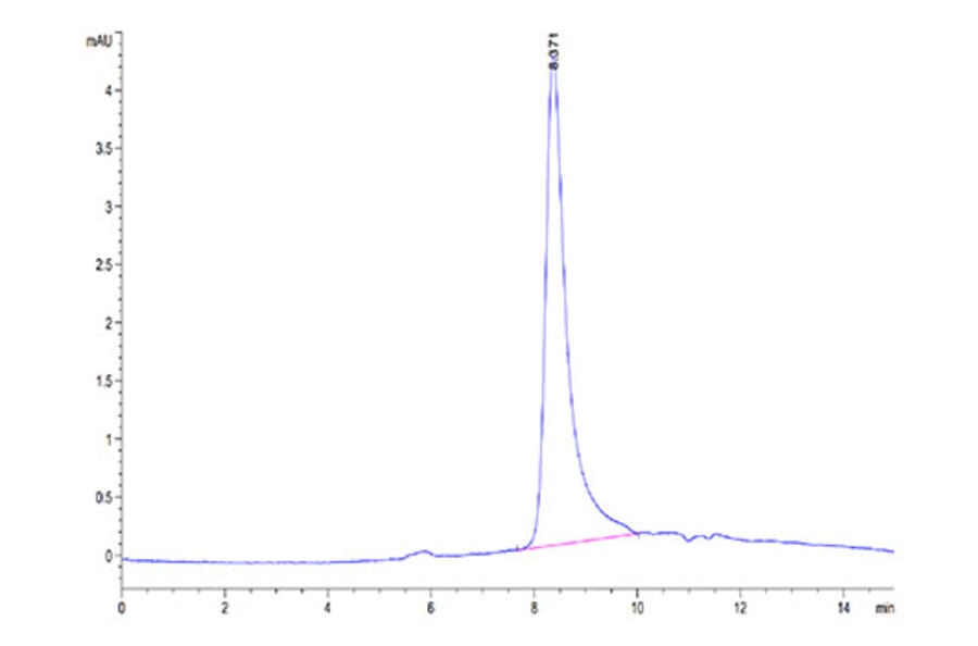 SEC-HPLC - Recombinant Cynomolgus macaque IL-31 Protein (N-terminal His Tag) (A330886) - Antibodies.com