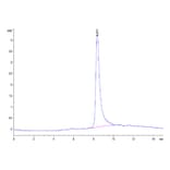 SEC-HPLC - Recombinant Cynomolgus macaque IL-31 Protein (N-terminal His Tag) (A330886) - Antibodies.com
