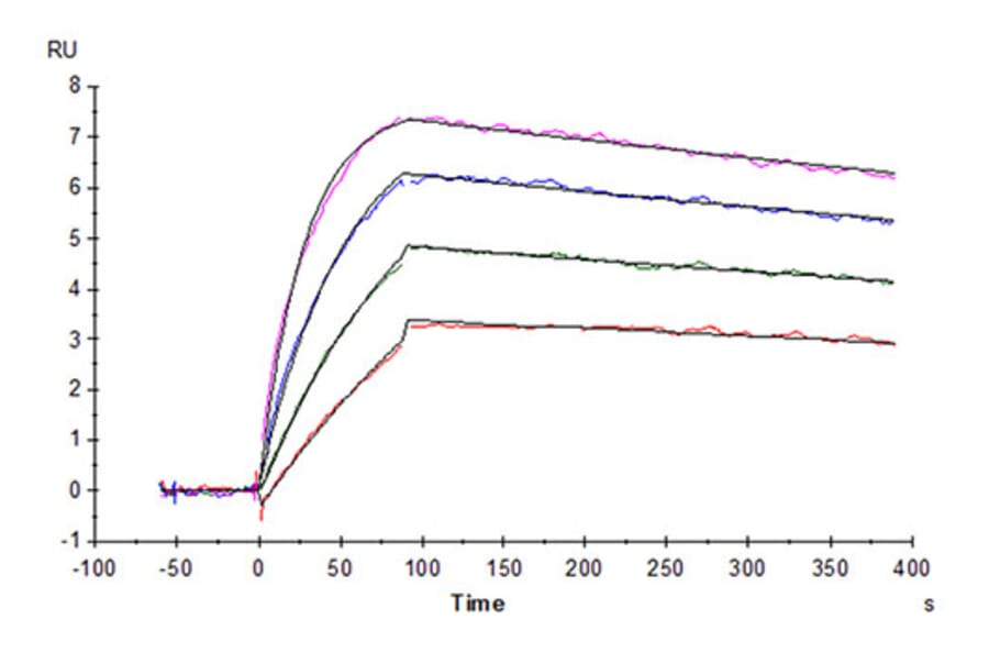 SPR Assay - Recombinant Cynomolgus macaque IL-31 Protein (N-terminal His Tag) (A330886) - Antibodies.com