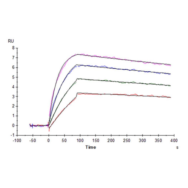 SPR Assay - Recombinant Cynomolgus macaque IL-31 Protein (N-terminal His Tag) (A330886) - Antibodies.com