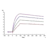 SPR Assay - Recombinant Cynomolgus macaque IL-31 Protein (N-terminal His Tag) (A330886) - Antibodies.com