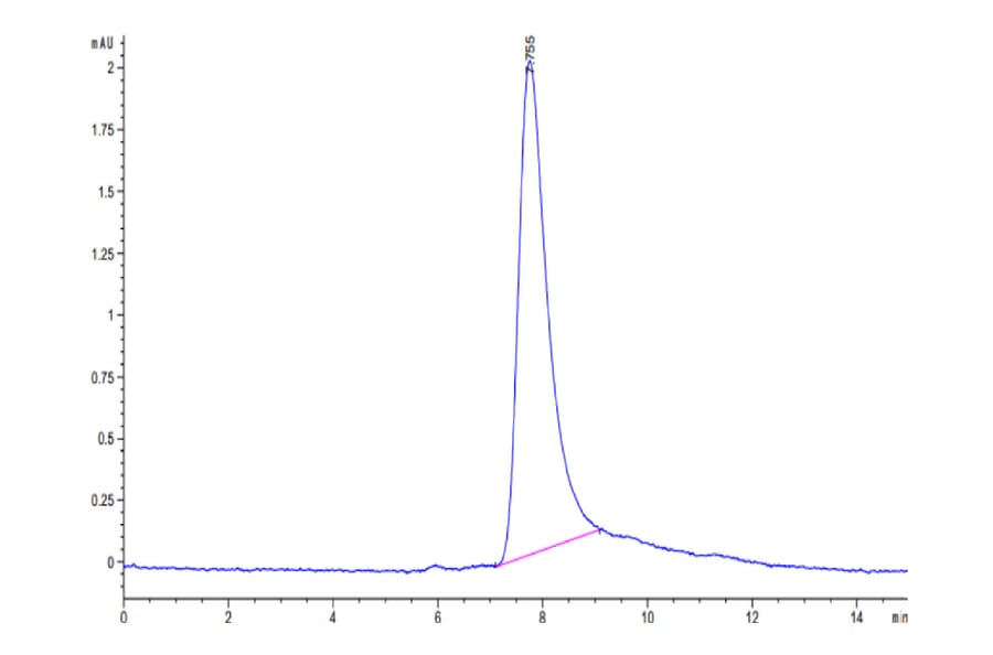 SEC-HPLC - Recombinant Human IL-31 Protein (N-terminal His Tag) (A330889) - Antibodies.com