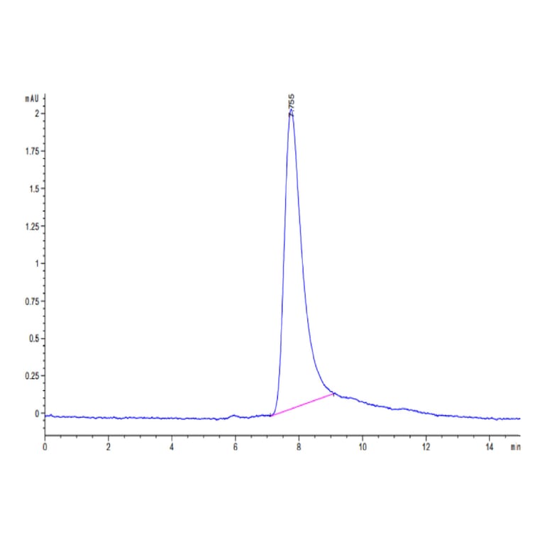 SEC-HPLC - Recombinant Human IL-31 Protein (N-terminal His Tag) (A330889) - Antibodies.com