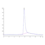 SEC-HPLC - Recombinant Human IL-31 Protein (N-terminal His Tag) (A330889) - Antibodies.com