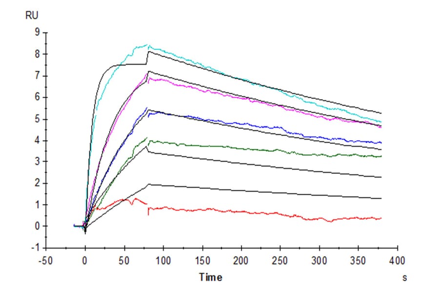 SPR Assay - Recombinant Human IL-31 Protein (N-terminal His Tag) (A330889) - Antibodies.com