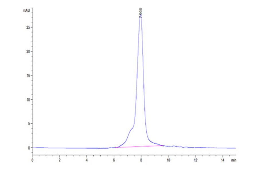 SEC-HPLC - Recombinant Human IL-31RA Protein (C-terminal His Tag) (A330890) - Antibodies.com