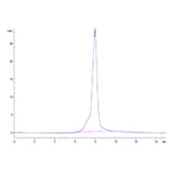 SEC-HPLC - Recombinant Human IL-31RA Protein (C-terminal His Tag) (A330890) - Antibodies.com