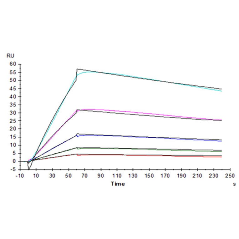 SPR Assay - Recombinant Human IL-31RA Protein (C-terminal His Tag) (A330890) - Antibodies.com