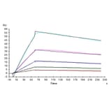 SPR Assay - Recombinant Human IL-31RA Protein (C-terminal His Tag) (A330890) - Antibodies.com