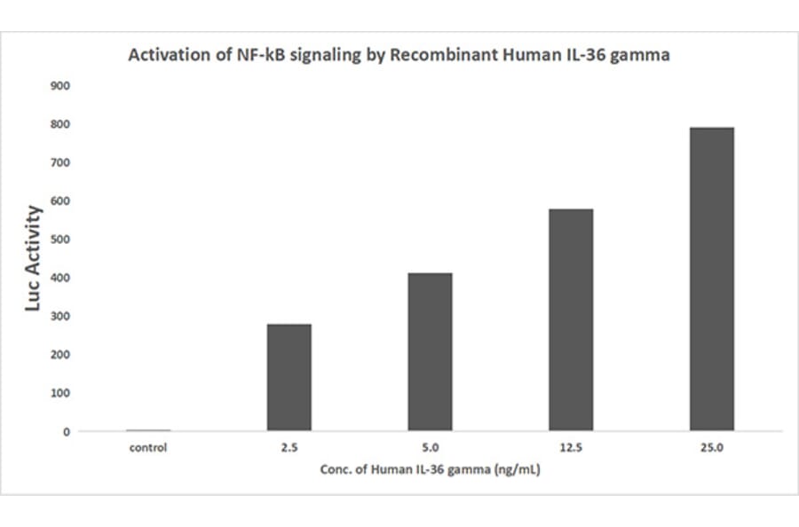 Luciferase Assay - Recombinant Human IL36 gamma/IL-1F9 Protein (A330898) - Antibodies.com